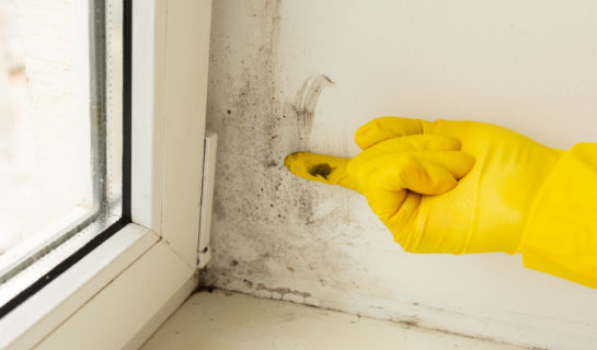 Person mit Gummihandschuh zeigt auf eine Schimmelstelle am Fenster
