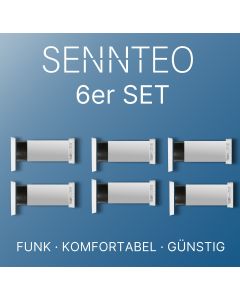 SENNTEO PRO 60 6er Pack