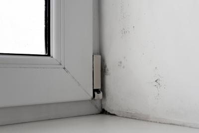 Warum Kellerlüftung wichtig ist
