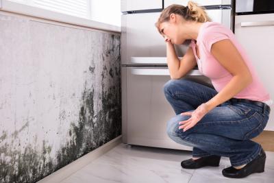 Schimmel Bekämpfung – Maßnahmen und Tipps