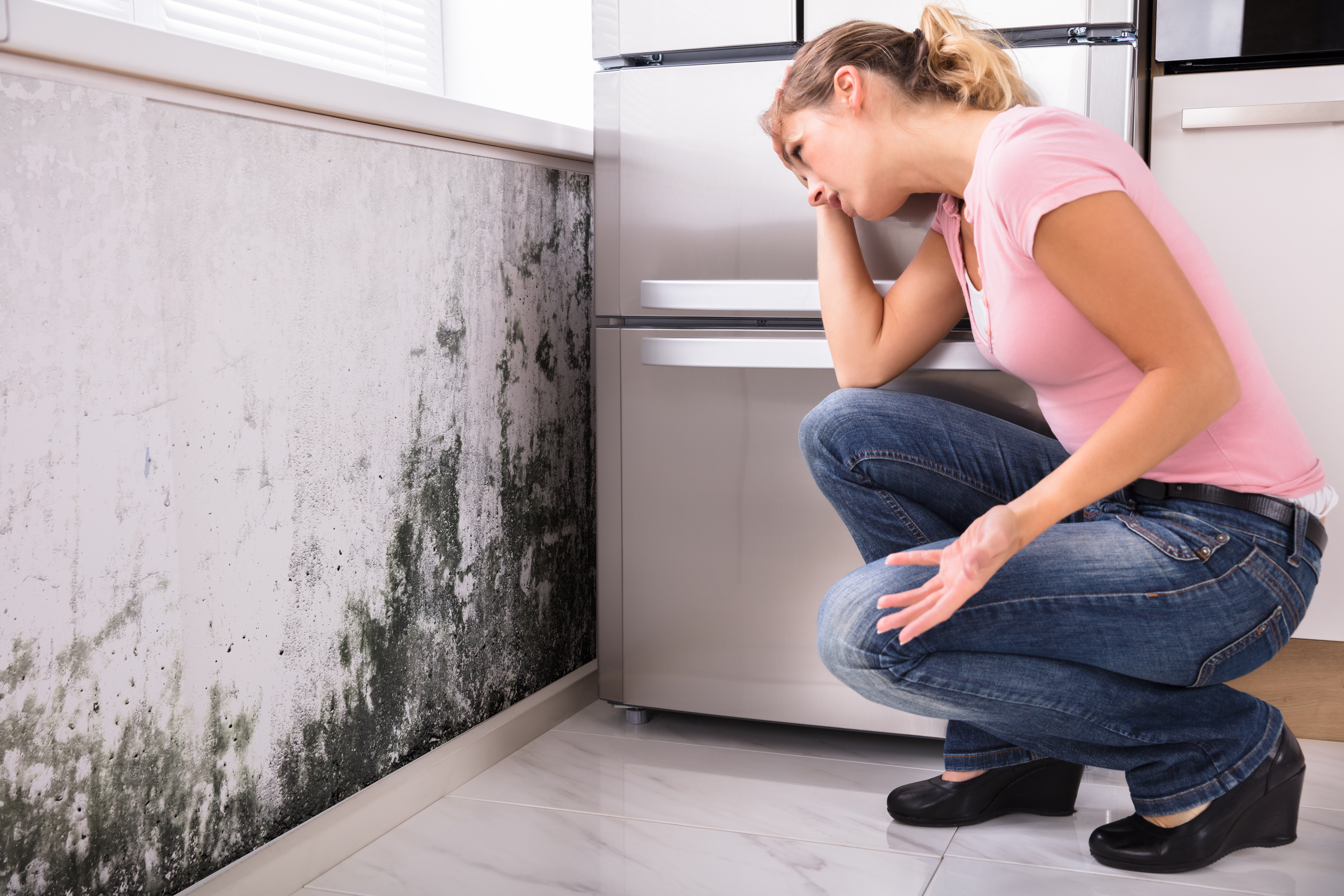 Schimmel Bekämpfung – Maßnahmen und Tipps
